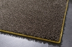 Moto_D_3619-827_Trim 9093-089