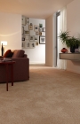 Suite_M_3617-072